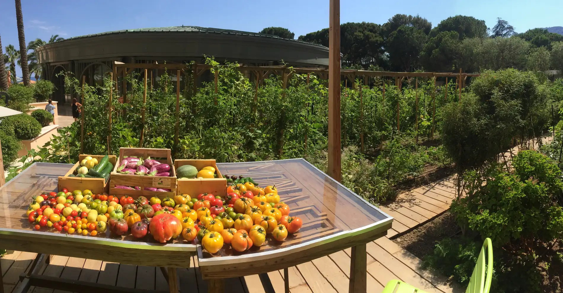 Potager - Monte-Carlo Société des Bains de Mer