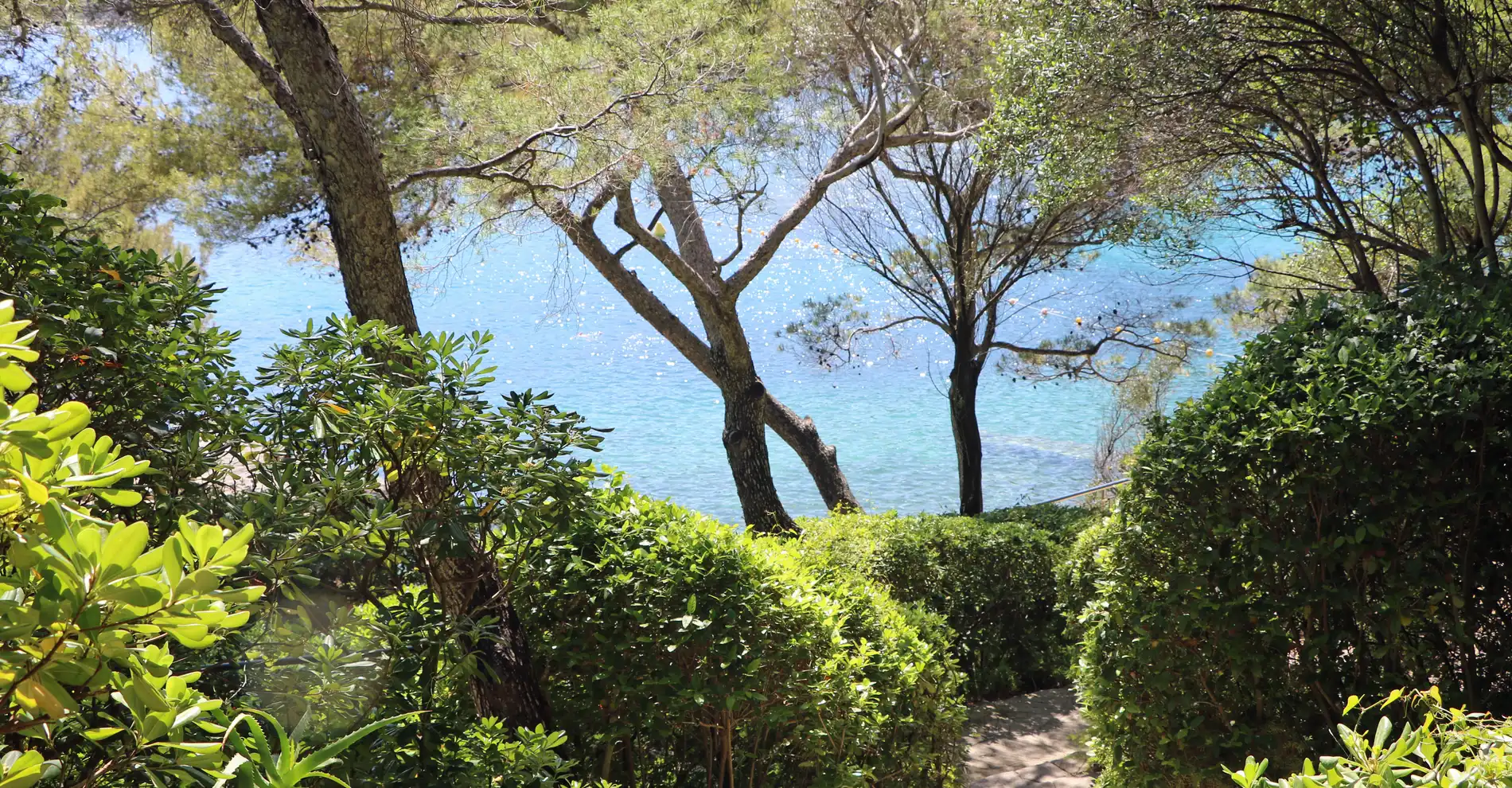 Monte-Carlo Beach - Pointe de la Vigie - LPO Shelter